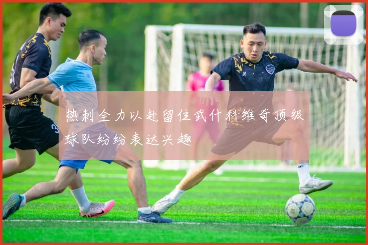 热刺全力以赴留住武什科维奇顶级球队纷纷表达兴趣
