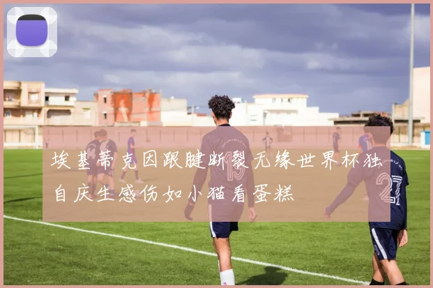 埃基蒂克因跟腱断裂无缘世界杯独自庆生感伤如小猫看蛋糕