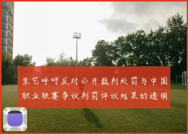 朱艺呼吁反对公开裁判处罚与中国职业联赛争议判罚评议结果的透明化探讨